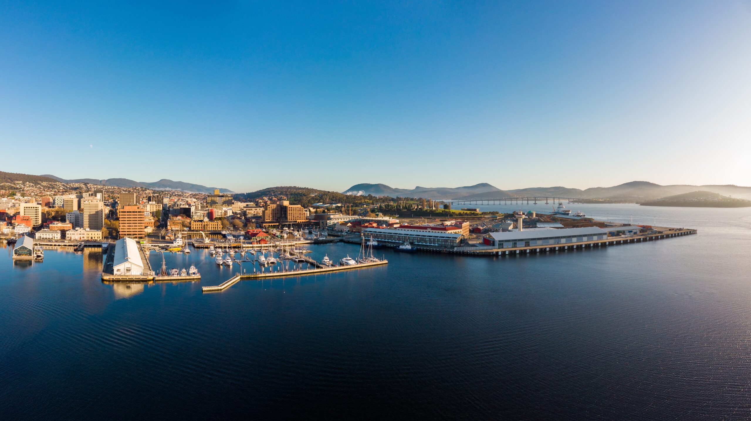 NDIS Support Tasmania | Community & Yard Services | Neta Care